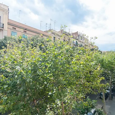 Trivao Sant Antoni Market * Barcelona